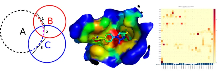 Surface overlap diagram, molecular contact surface and contact area heatmap